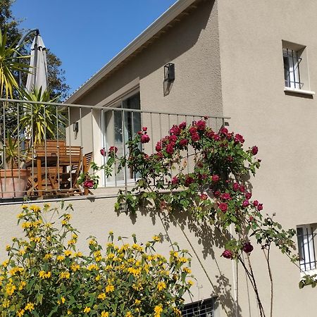Charmante Maison Avec Jardin Aux Portes Des Gorges De L'Ardeche Saint-Julien-de-Peyrolas Exterior photo
